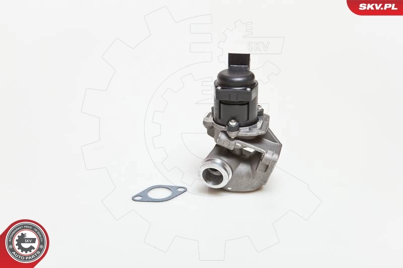 EGR Valve
